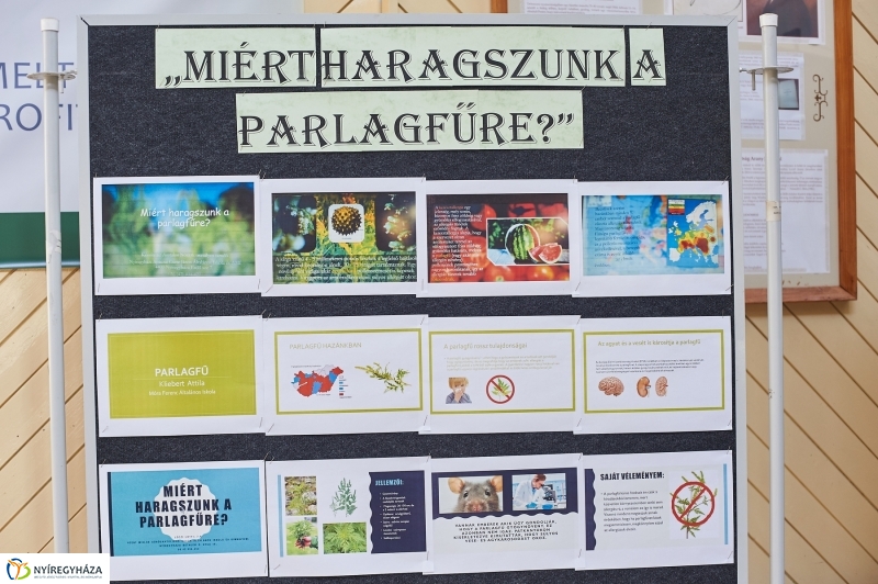 Rajz pályázat eredményhirdetése a Petőfi iskolában- fotó Szarka Lajos