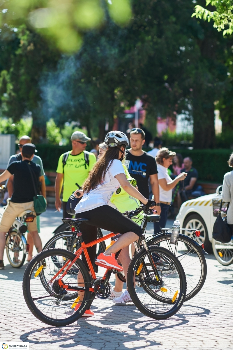Bringa Piknik 2018 - fotó Szarka Lajos
