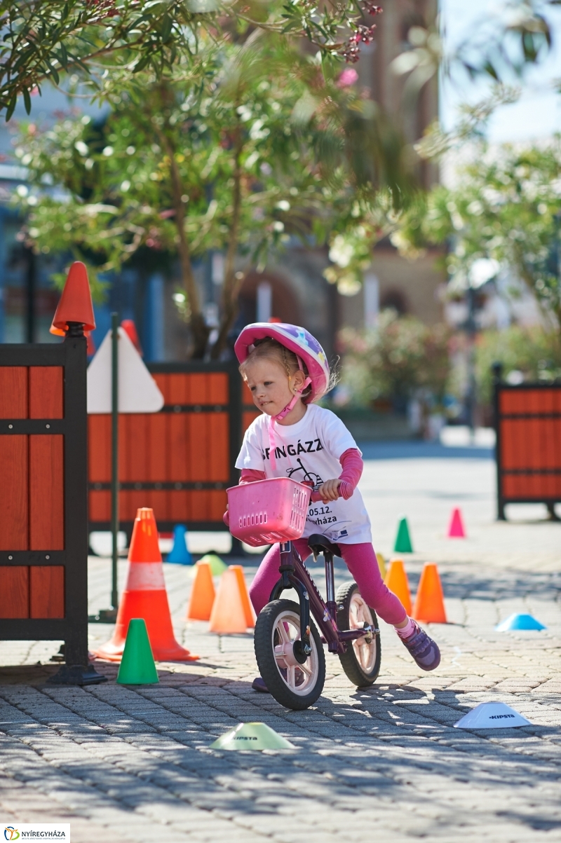 Bringa Piknik 2018 - fotó Szarka Lajos
