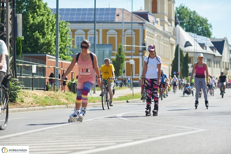 Bringa Piknik 2018 - fotó Szarka Lajos