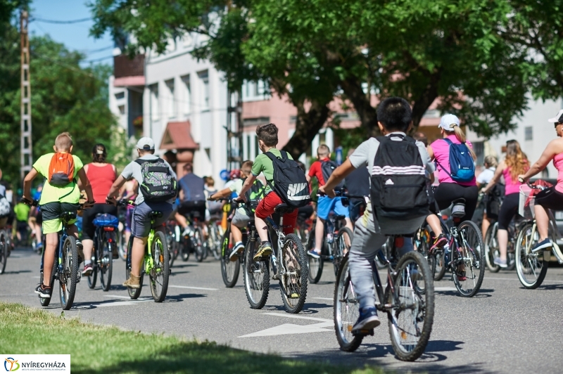 Bringa Piknik 2018 - fotó Szarka Lajos