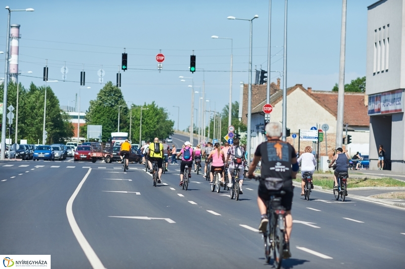 Bringa Piknik 2018 - fotó Szarka Lajos