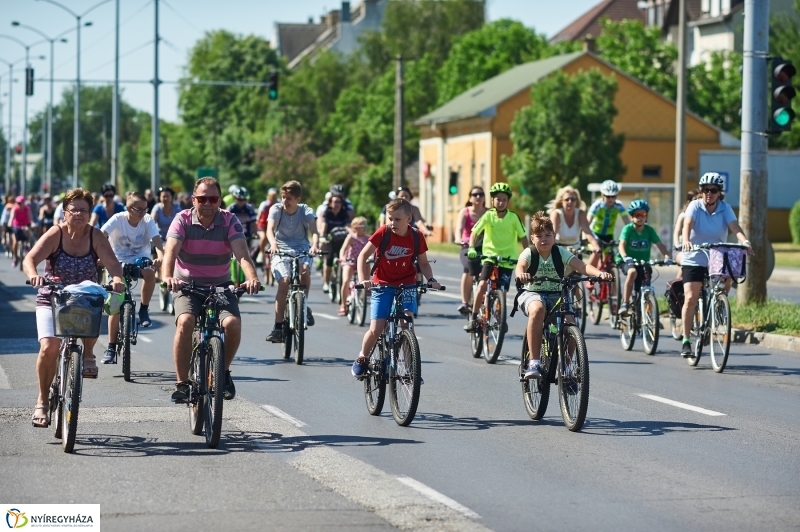 Bringa Piknik 2018 - fotó Szarka Lajos