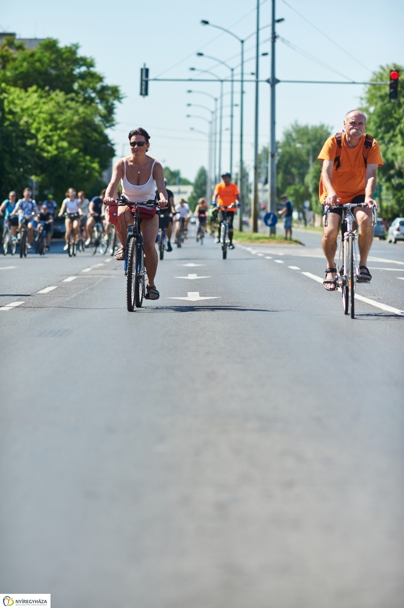 Bringa Piknik 2018 - fotó Szarka Lajos