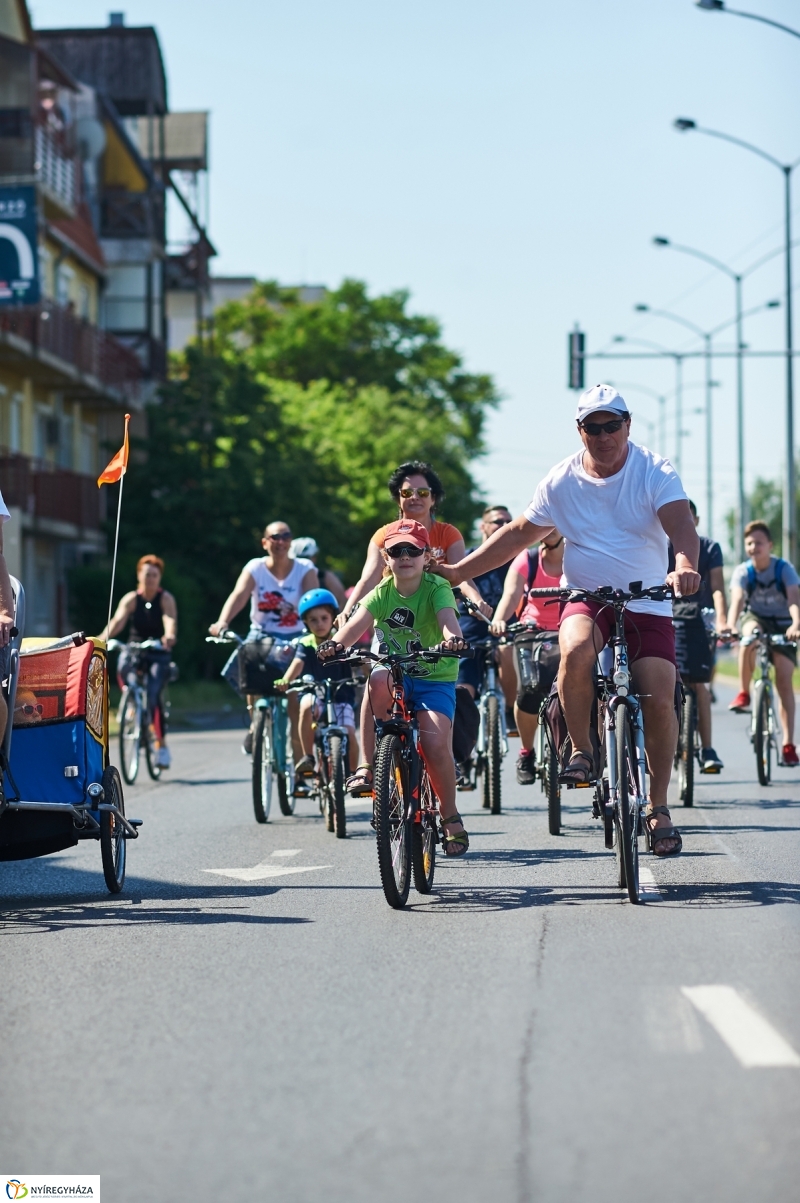 Bringa Piknik 2018 - fotó Szarka Lajos