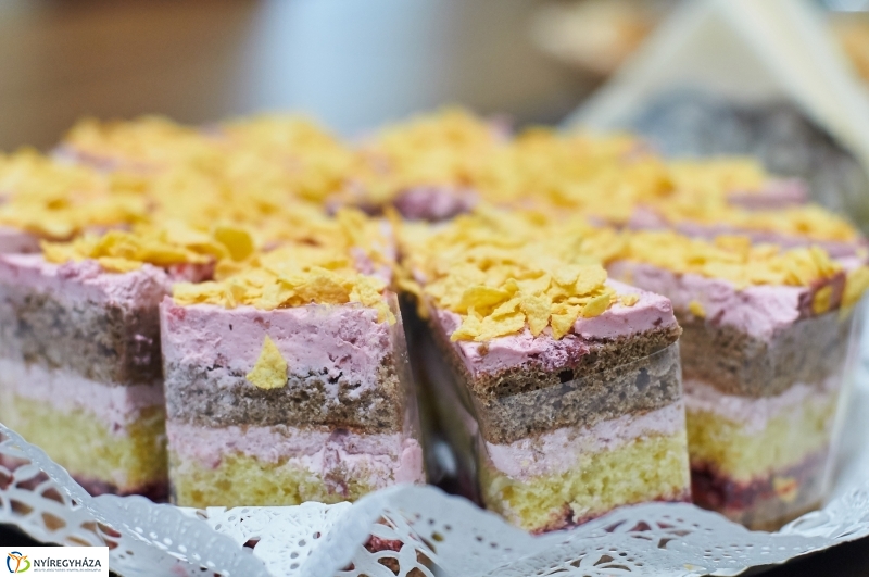 Városnap 2018 sajtótájékoztató - fotó Szarka Lajos