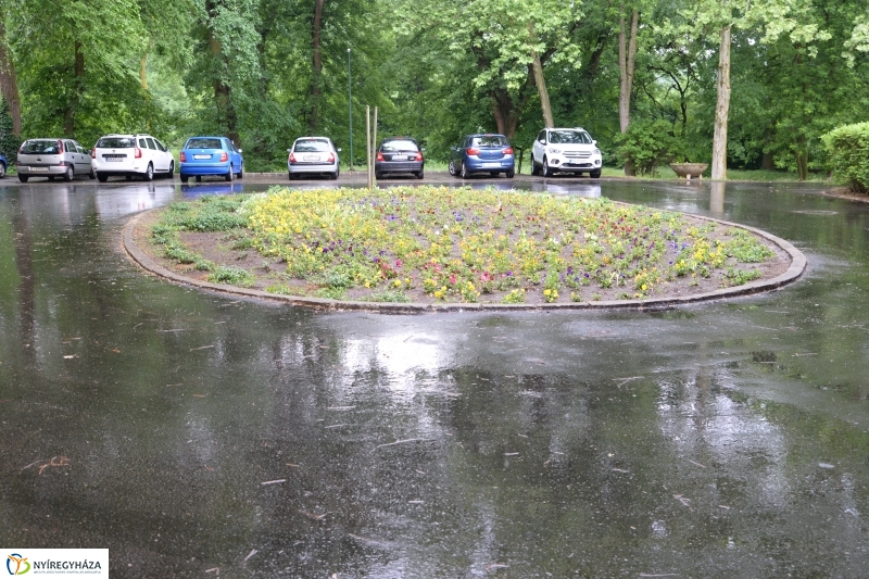 Útátadás a Sóstói úti kórházban - fotó Trifonov Éva