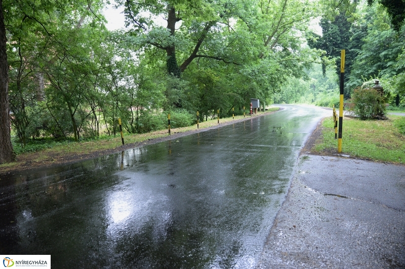 Útátadás a Sóstói úti kórházban - fotó Trifonov Éva