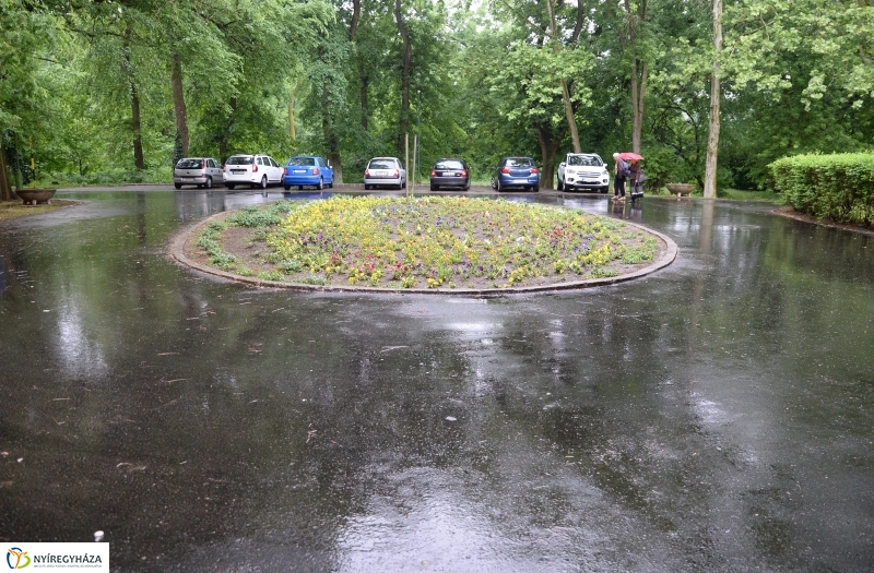 Útátadás a Sóstói úti kórházban - fotó Trifonov Éva