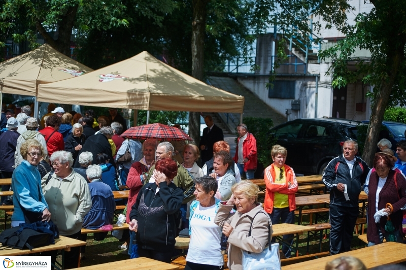 Szépkorúak Sporttalálkozója 2018 - fotó Szarka Lajos
