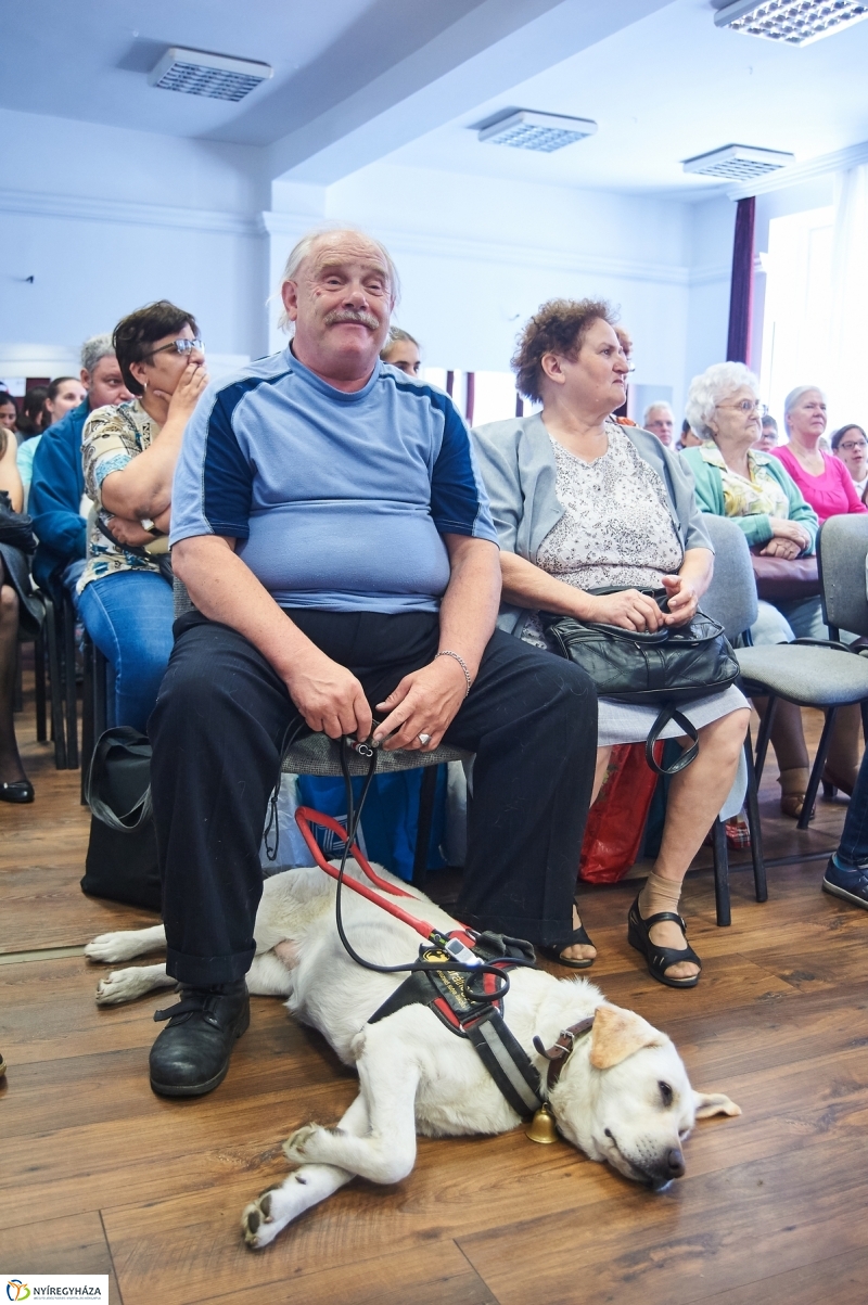 Fogyatékkal Élők Művészeti Fesztiválja 2018 - fotó Szarka Lajos