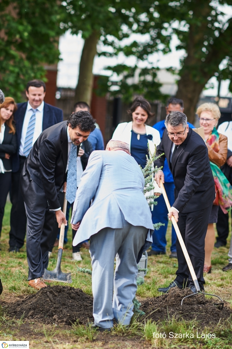 Emlékfa ültetés a Zsinagógánál - fotó Szarka Lajos