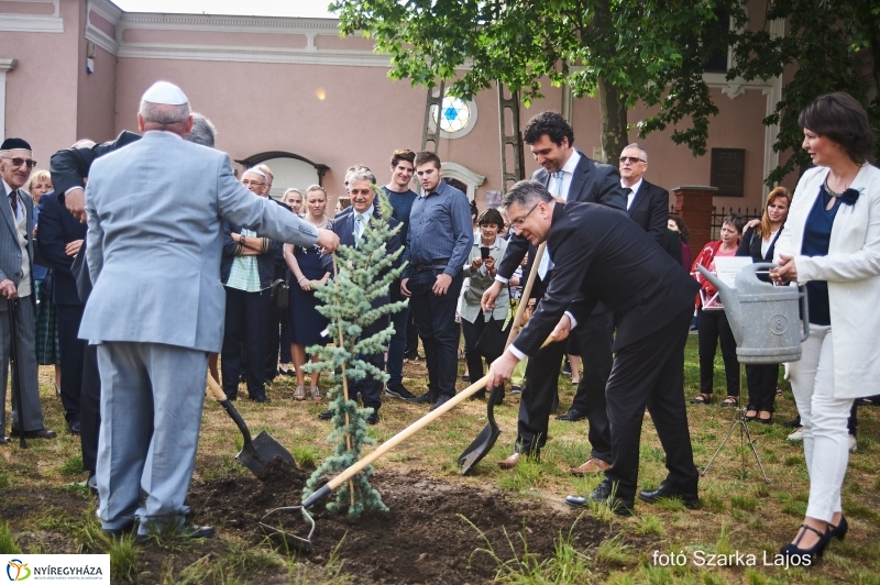 Emlékfa ültetés a Zsinagógánál - fotó Szarka Lajos