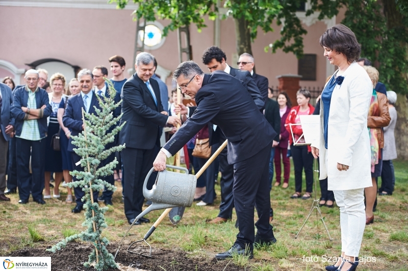 Emlékfa ültetés a Zsinagógánál - fotó Szarka Lajos