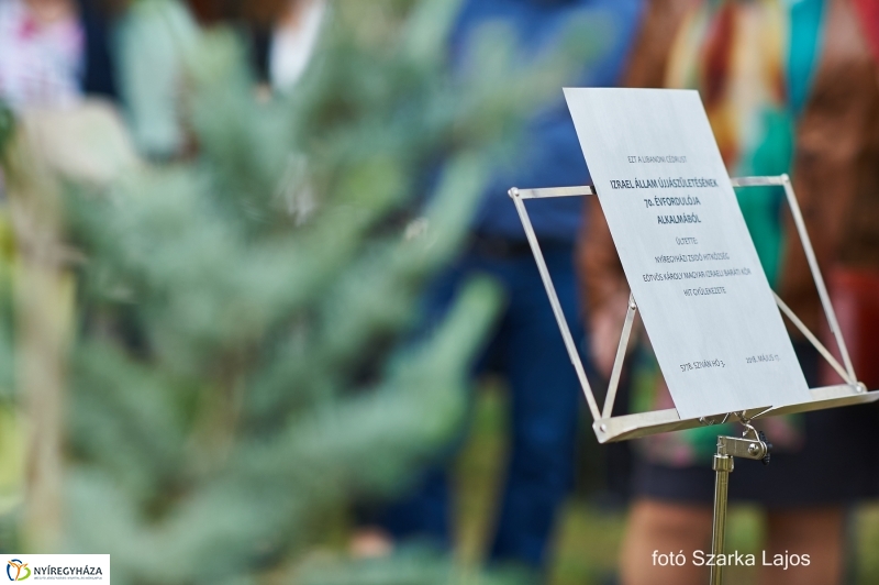 Emlékfa ültetés a Zsinagógánál - fotó Szarka Lajos
