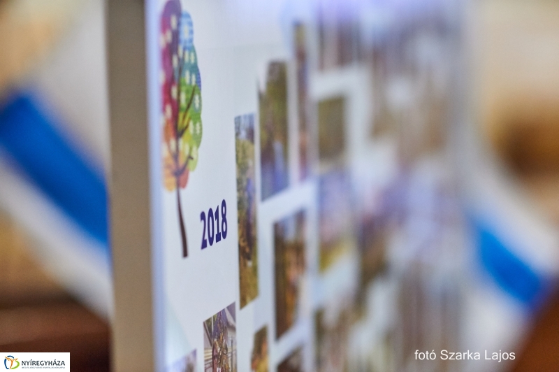 Ünnepség a Megyeházán - fotó Szarka Lajos