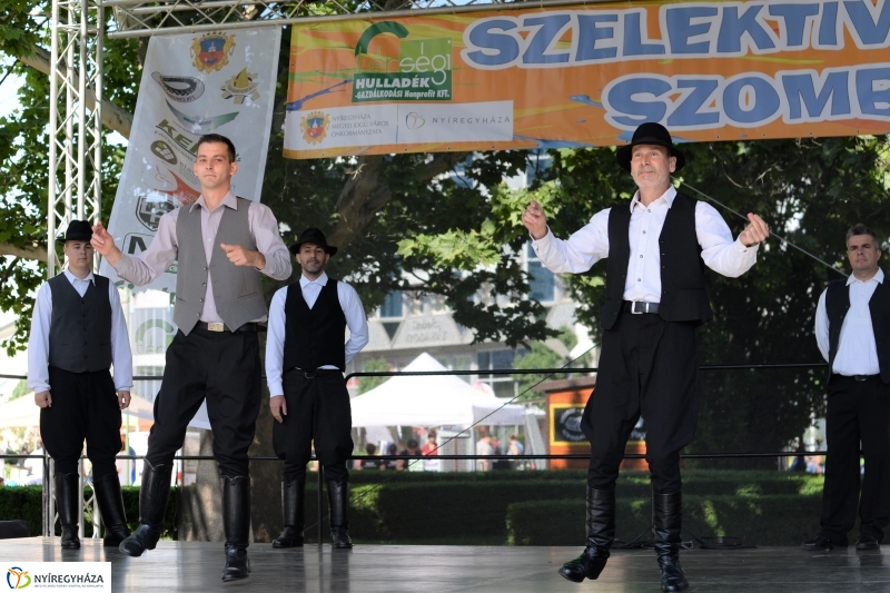 Városnap-szombat délután - fotó Trifonov Éva