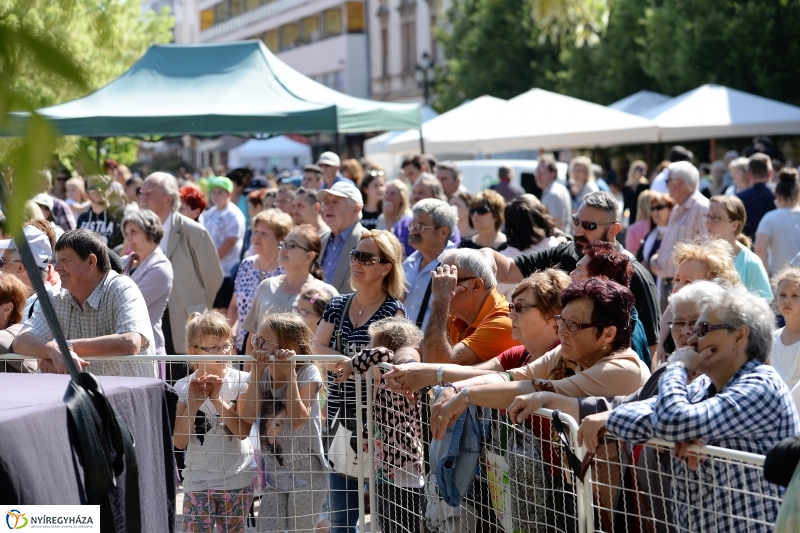 Városnap-szombat délután - fotó Trifonov Éva