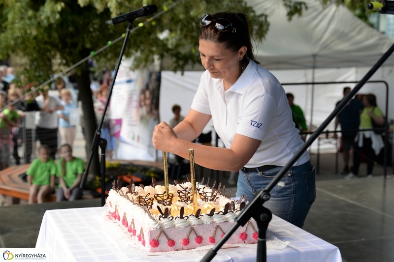 Városnap-szombat délután - fotó Trifonov Éva