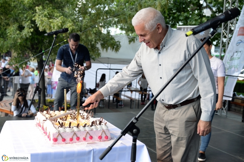 Városnap-szombat délután - fotó Trifonov Éva