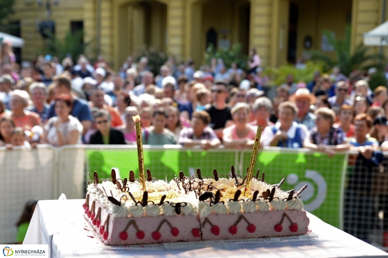 Városnap-szombat délután - fotó Trifonov Éva