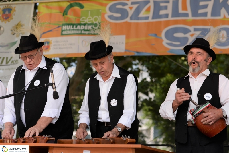 Városnap-szombat délután - fotó Trifonov Éva