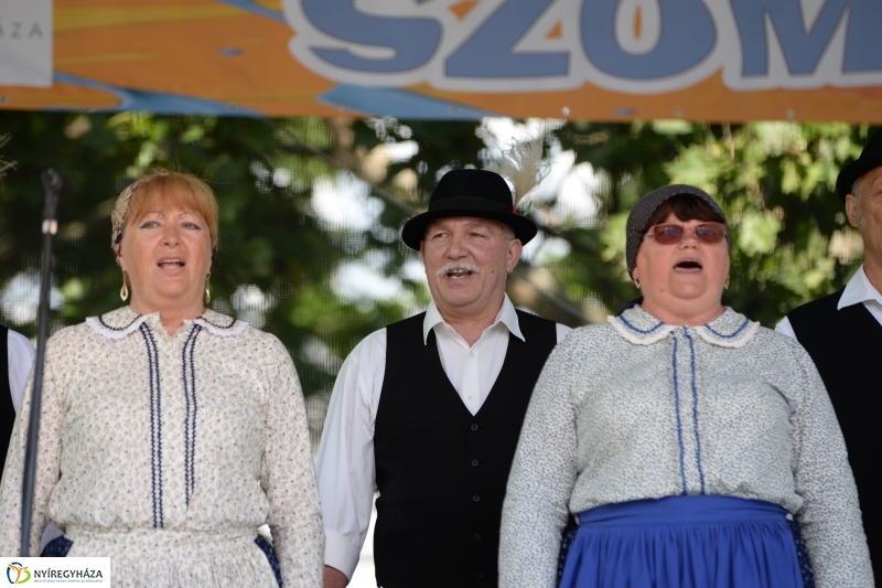 Városnap-szombat délután - fotó Trifonov Éva