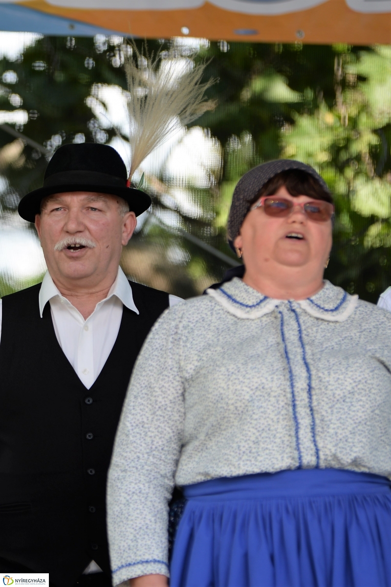 Városnap-szombat délután - fotó Trifonov Éva