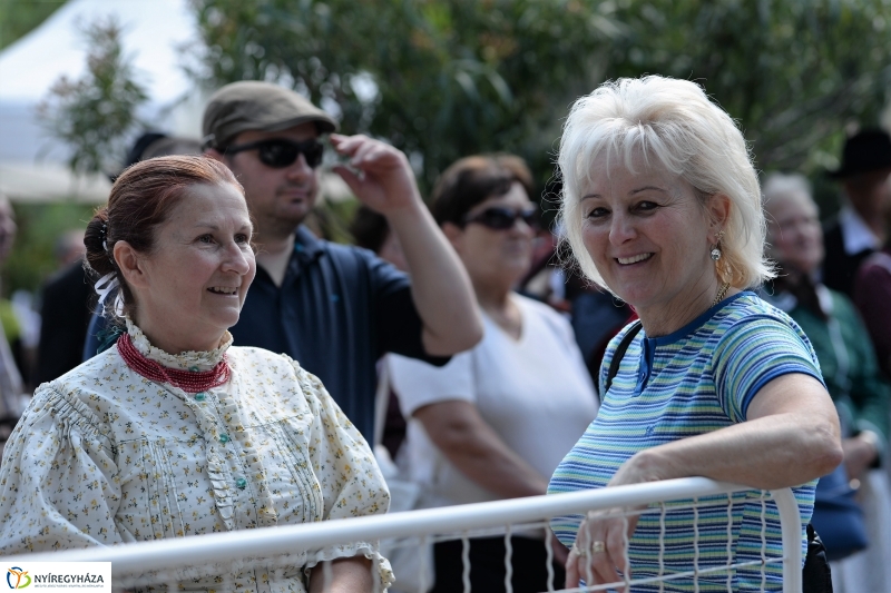 Városnap-szombat délután - fotó Trifonov Éva