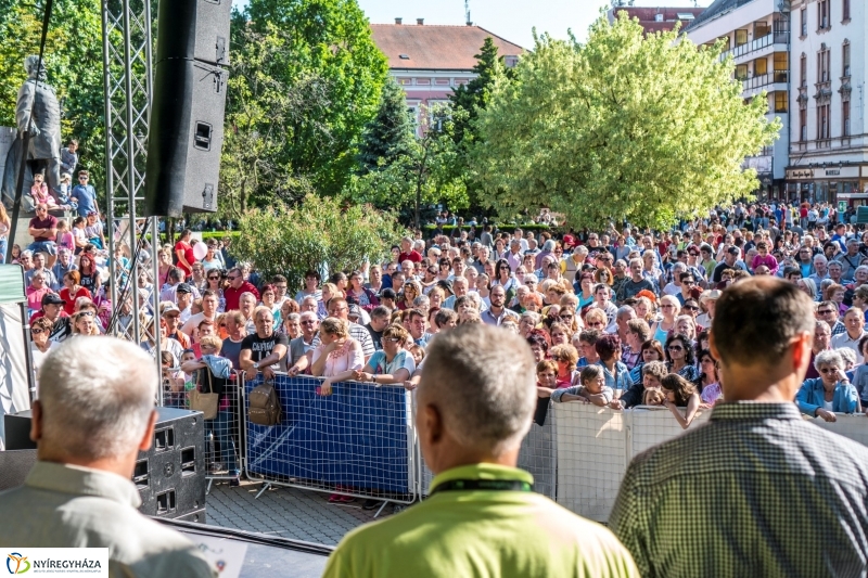 Szelektív Szombat eredményhirdetés - Fotó Kohut Árpád