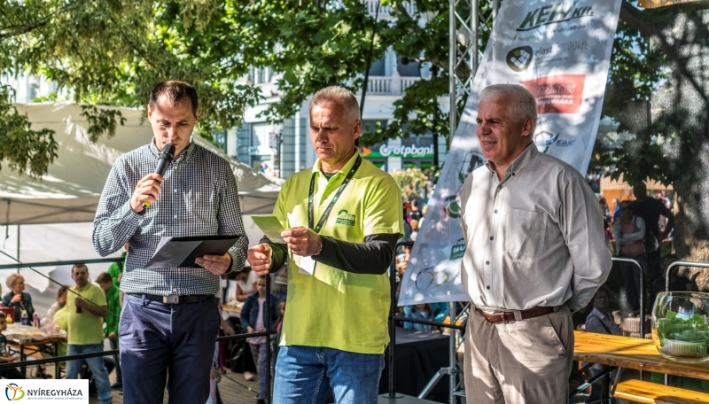 Szelektív Szombat eredményhirdetés - Fotó Kohut Árpád