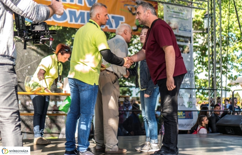 Szelektív Szombat eredményhirdetés - Fotó Kohut Árpád