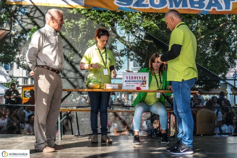 Szelektív Szombat eredményhirdetés - Fotó Kohut Árpád