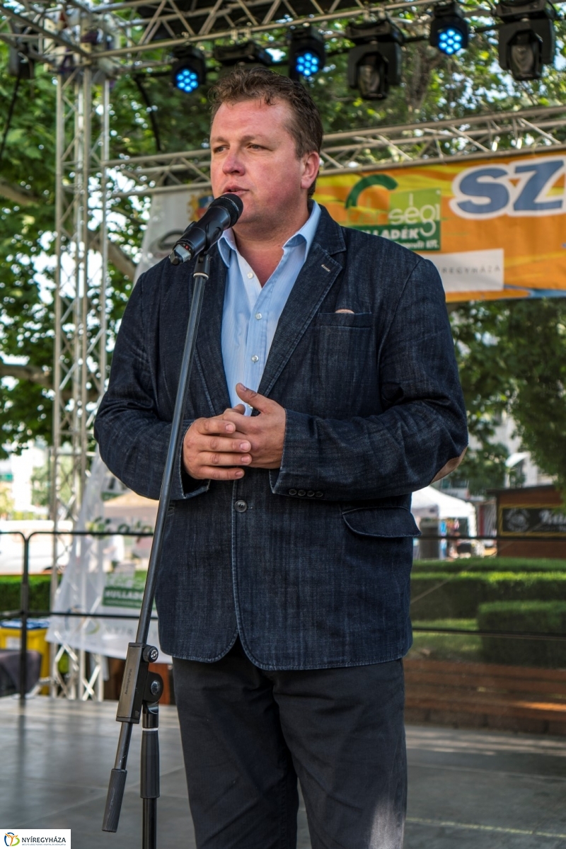 Hangulatképek a Városnapról 1. - fotó Kohut Árpád 