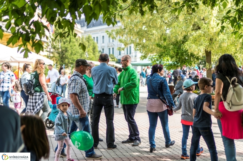 Hangulatképek a Városnapról 1. - fotó Kohut Árpád 
