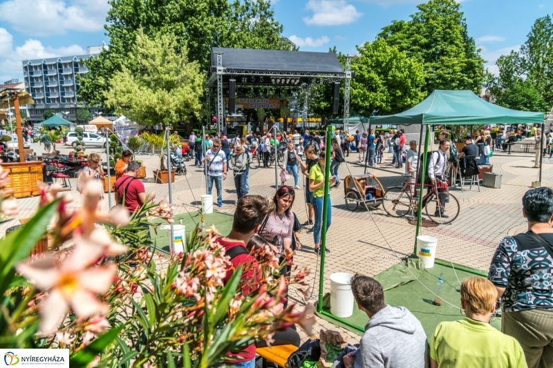 Hangulatképek a Városnapról 2. - fotó Kohut Árpád