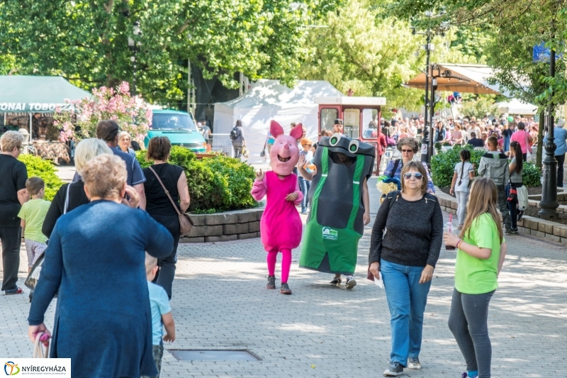 Hangulatképek a Városnapról 2. - fotó Kohut Árpád