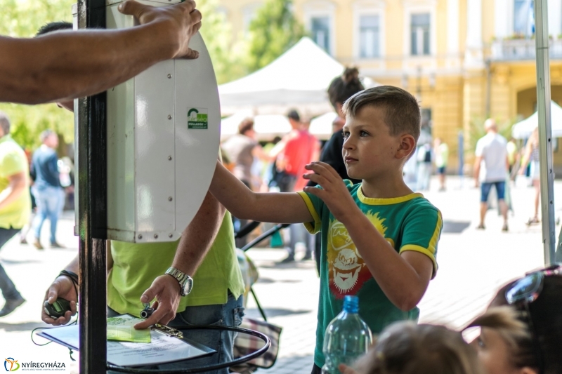 Hangulatképek a Városnapról 2. - fotó Kohut Árpád