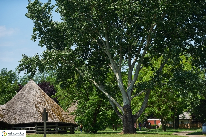 Pünkösd a múzeumfaluban 2018 - fotó Szarka Lajos
