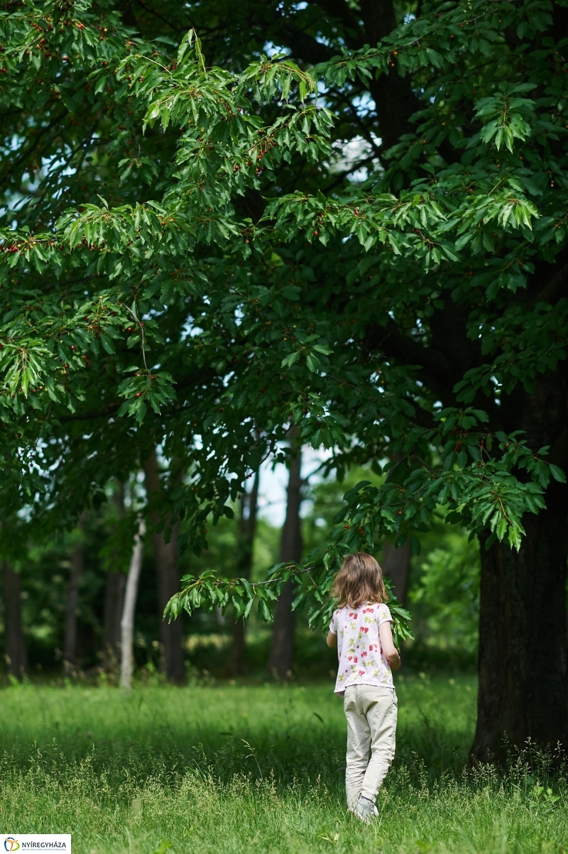 Pünkösd a múzeumfaluban 2018 - fotó Szarka Lajos