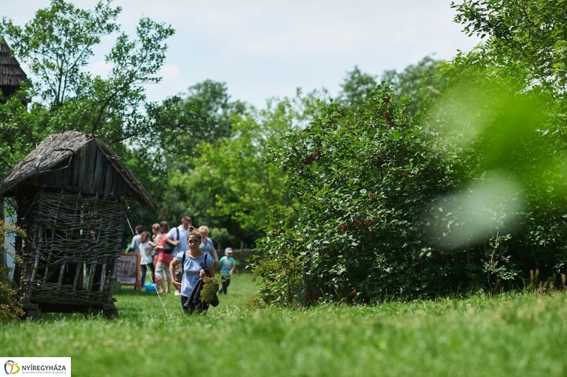 Pünkösd a múzeumfaluban 2018 - fotó Szarka Lajos