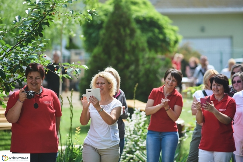 Roadshow a Katica bölcsődében - fotó Szarka Lajos