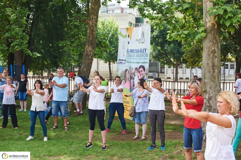 Roadshow a Katica bölcsődében - fotó Szarka Lajos