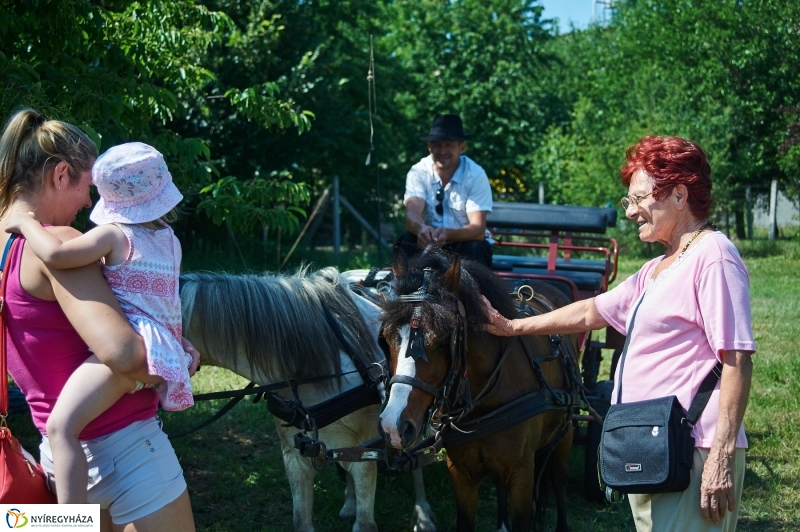 Gyermeknap a Kertvárosban 2018 - fotó Szarka Lajos