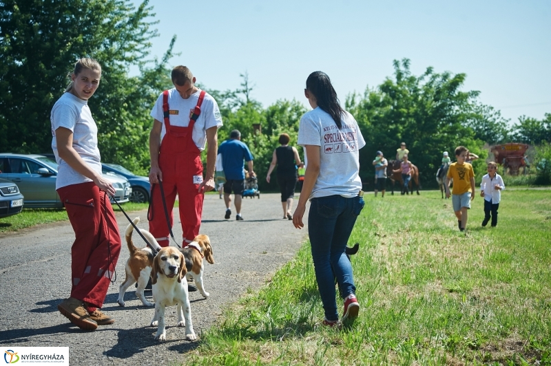 Gyermeknap a Kertvárosban 2018 - fotó Szarka Lajos