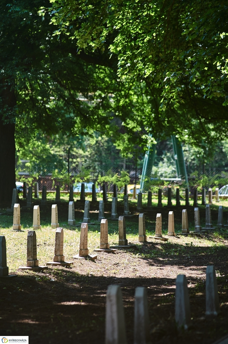 Emlékezés a Hősök Temetőjében - fotó Szarka Lajos