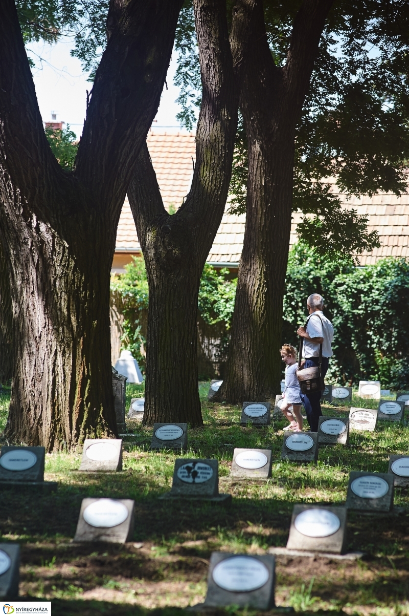 Emlékezés a Hősök Temetőjében - fotó Szarka Lajos