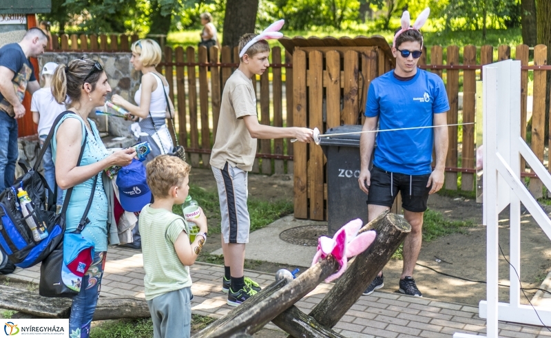 Családok éve gyermeknapi program az Állatparkban - fotó Kohut Árpád
