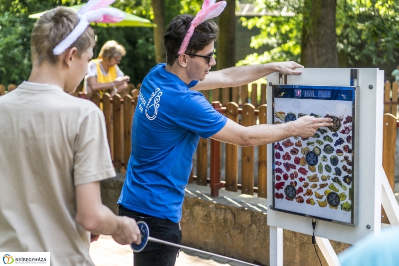 Családok éve gyermeknapi program az Állatparkban - fotó Kohut Árpád