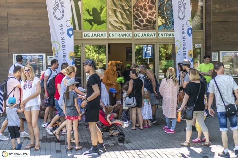 Családok éve gyermeknapi program az Állatparkban - fotó Kohut Árpád